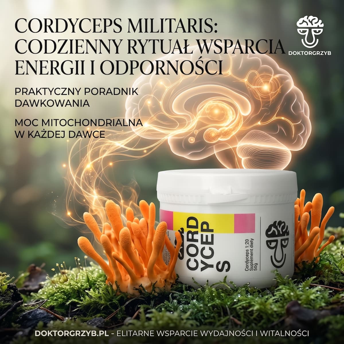 cordyceps - okładka wpisy